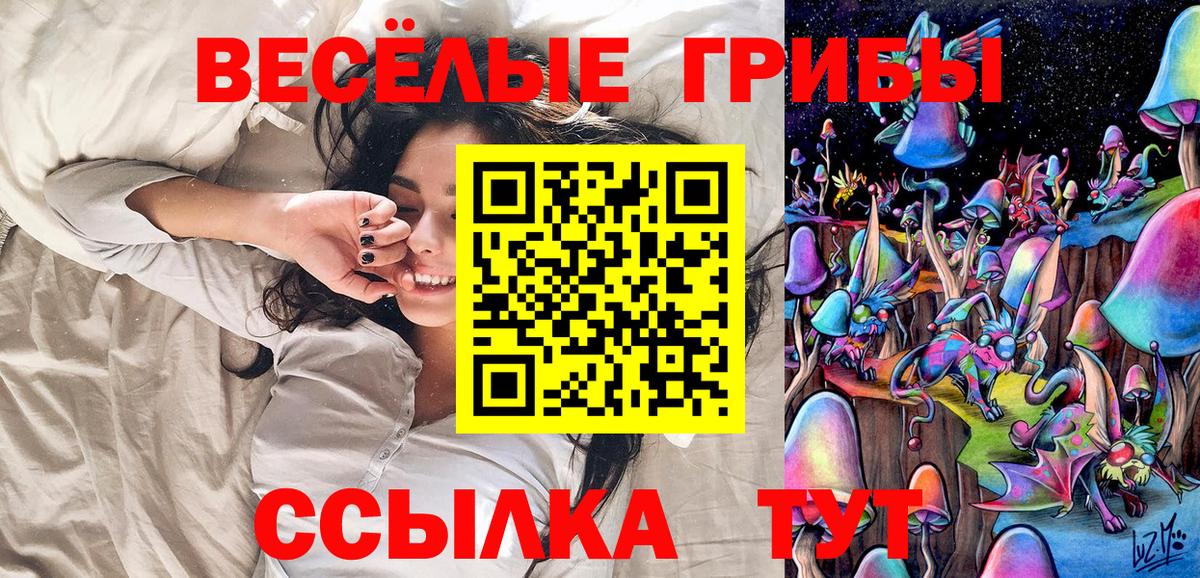 Славгород  Галлюциногенные грибы мицелий  Вход с VPN 