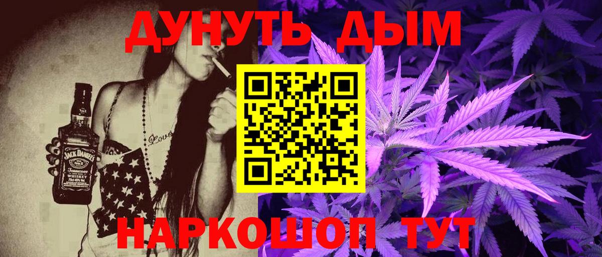 Конопля сатива Славгород